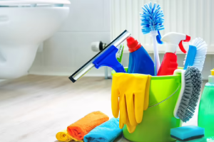 Messie Reinigung Ingolstadt